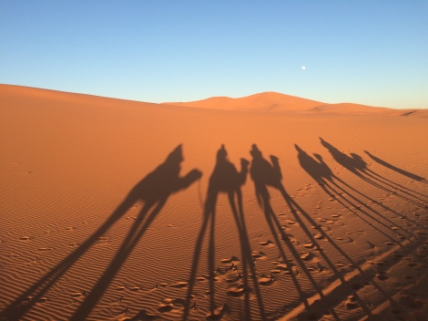 Searching the Sahara for the three wise men....alas, found only ourselves. 